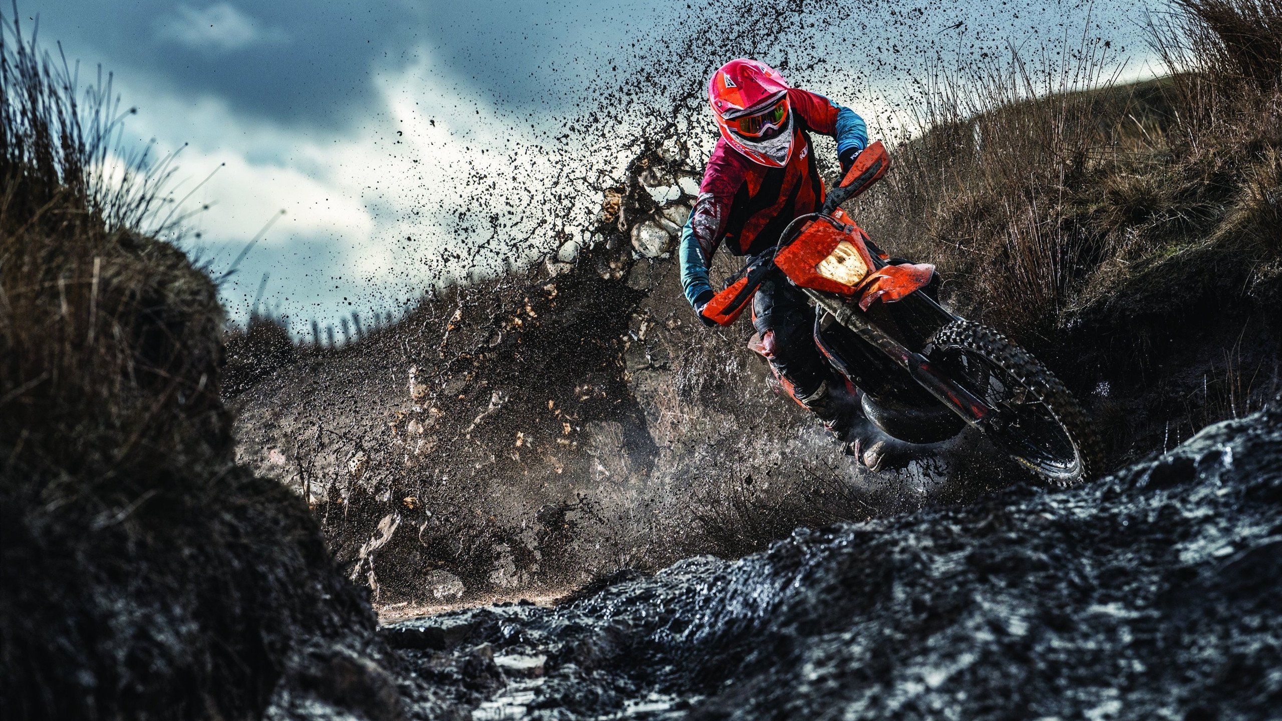 巴黎圣日耳曼前途光明！，Doinb新星锐不可当表现突出气势如虹延续